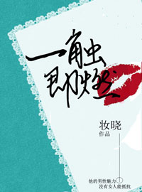 һ����ȼ����