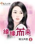 缘缘而来封面