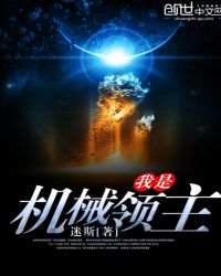 ���ǻ�е��������