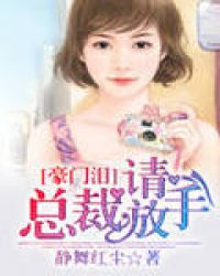 豪门泪:总裁,请放手！封面