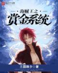 海贼王之赏金系统封面