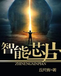 ����оƬ����