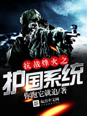 ��ս���֮����ϵͳ����