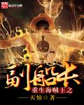 重生海贼王之副船长封面
