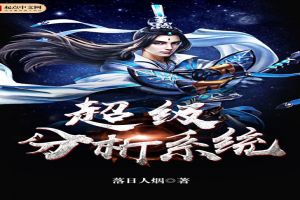 ��������ϵͳ