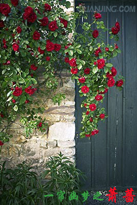 һ������֮��Ǿ����