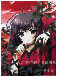 ����ɻ�����