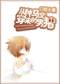 �������Ĵ�������������