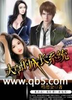 ���ĳɳ�ϵͳ