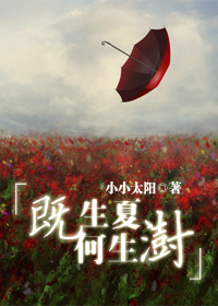 �����ĺ���������