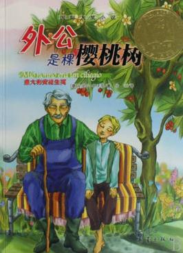 �⹫�ǿ�ӣ����