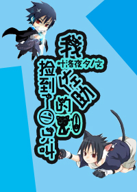 (���޿ֲ�ͬ��)����֮�Ҽ�һֻ��������è����