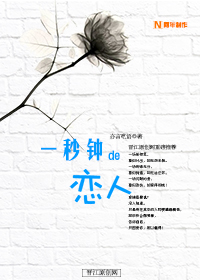 һ���ӵ�����